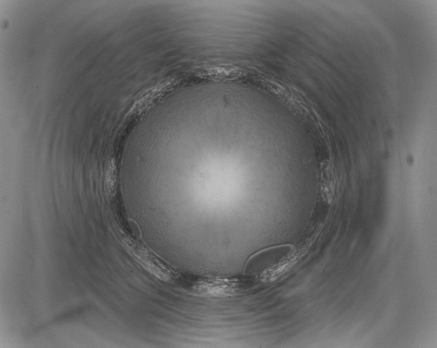 X0000081600563200702051332