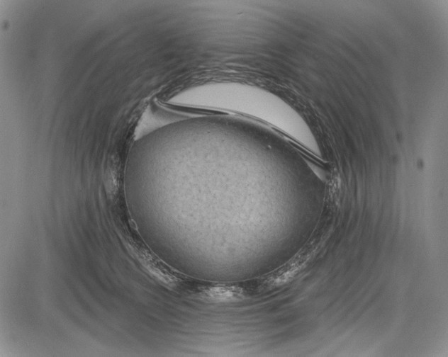 X0000081600566200702051332