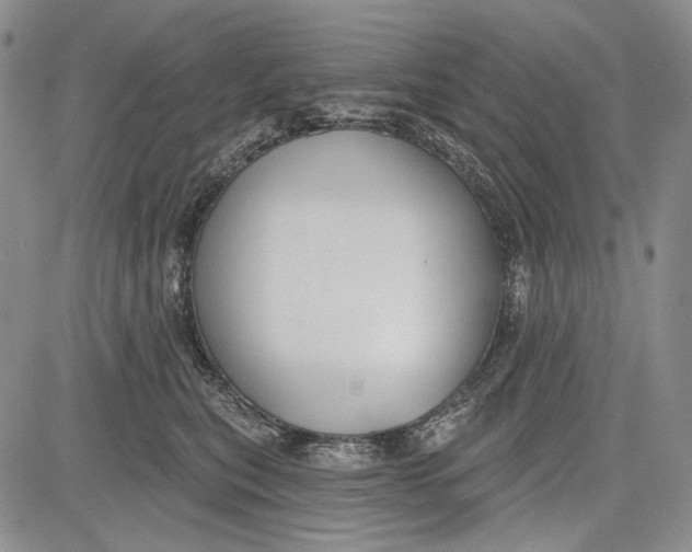 X0000081600567200702051332