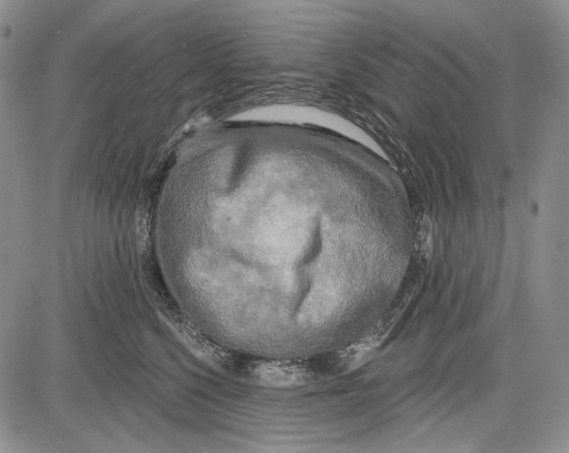 X0000081600568200702051332