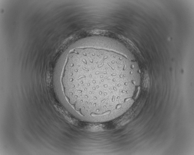 X0000081600569200702051332