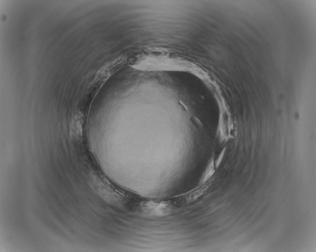 X0000081600570200702051332