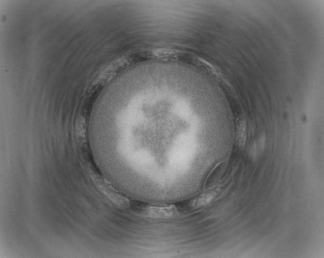 X0000081600571200702051332