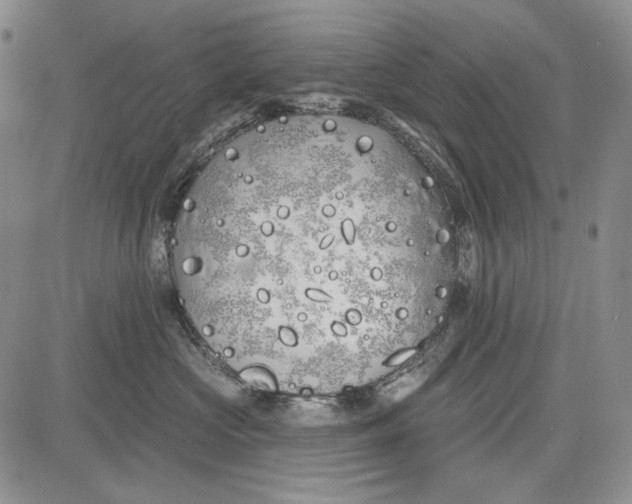 X0000081600573200702051332