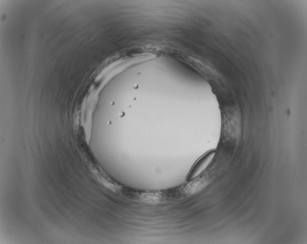 X0000081600574200702051332