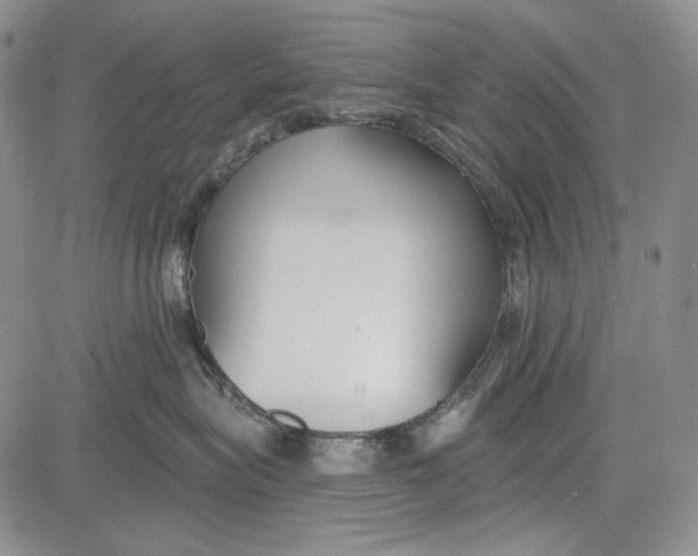 X0000081600575200702051332