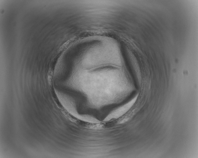 X0000081600576200702051332