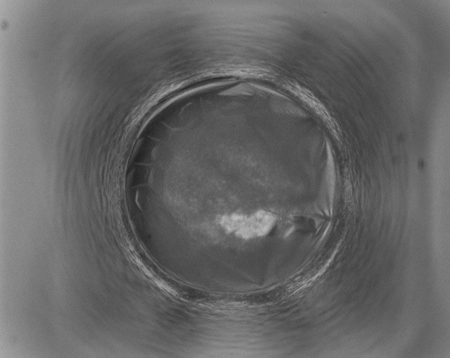 X0000081600577200702051331