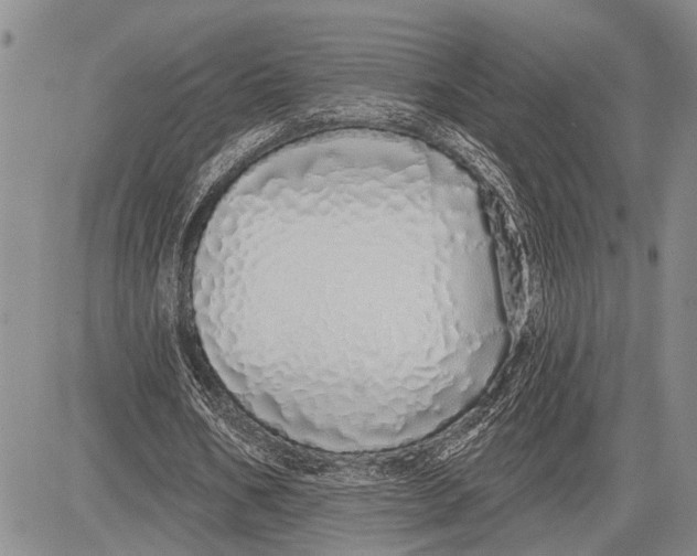 X0000081600578200702051331