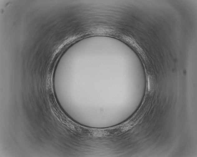 X0000081600579200702051331