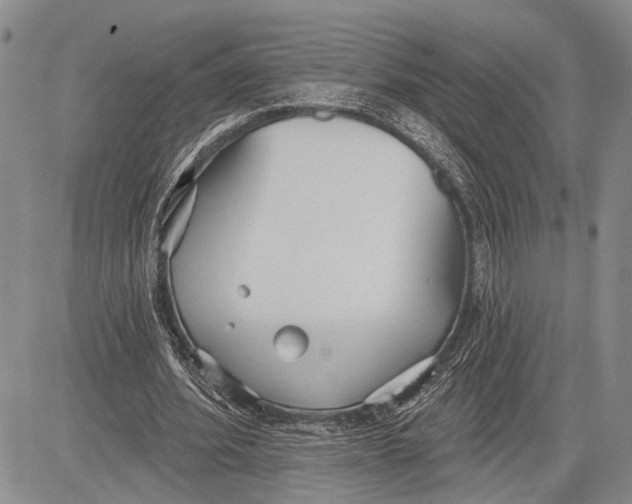 X0000081600580200702051331