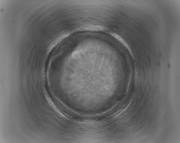 X0000081600581200702051331