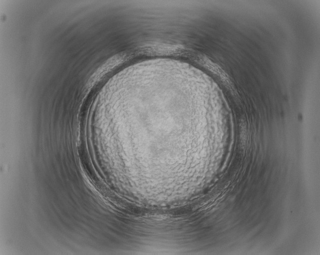 X0000081600582200702051331