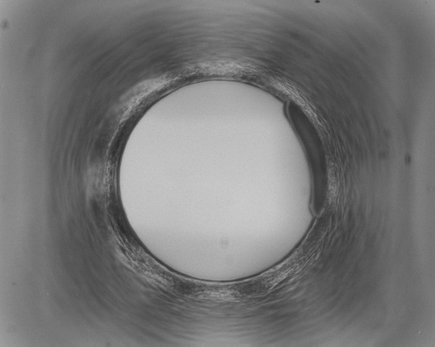 X0000081600583200702051331