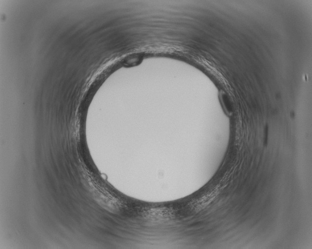 X0000081600584200702051331