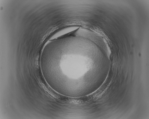 X0000081600585200702051331