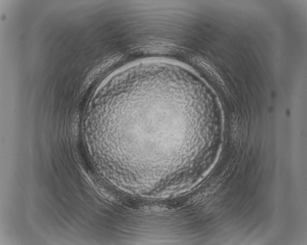 X0000081600586200702051331