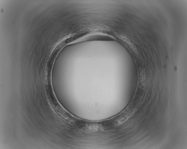 X0000081600587200702051331