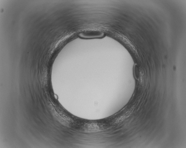 X0000081600588200702051331