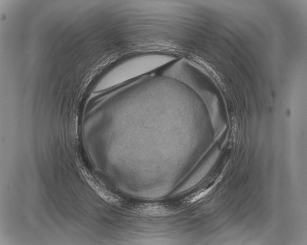 X0000081600589200702051331