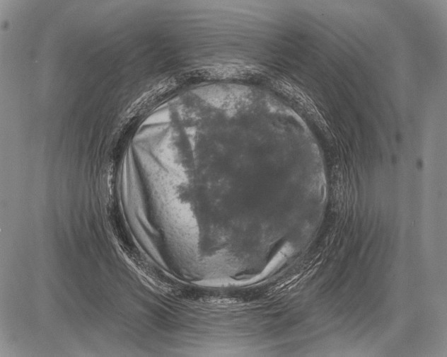 X0000081600590200702051331