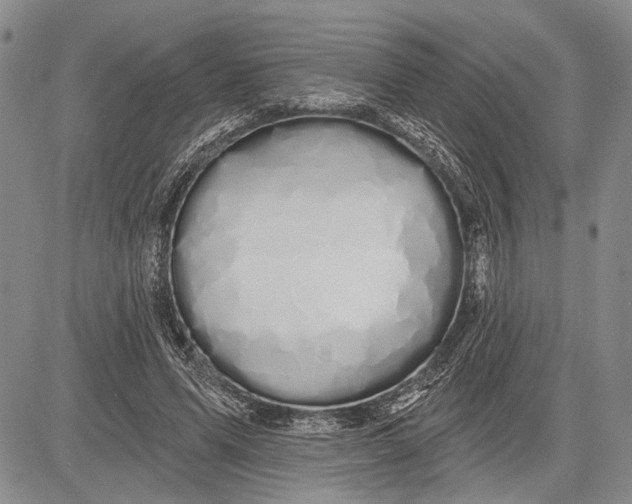 X0000081600591200702051331