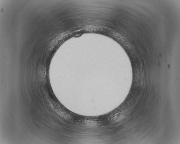 X0000081600592200702051331