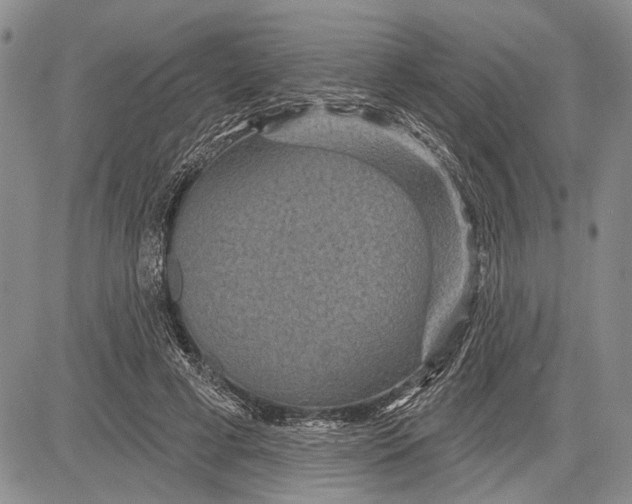 X0000081600593200702051331