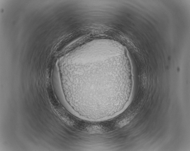 X0000081600594200702051331