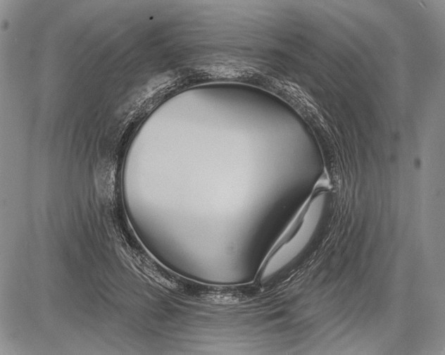 X0000081600596200702051331