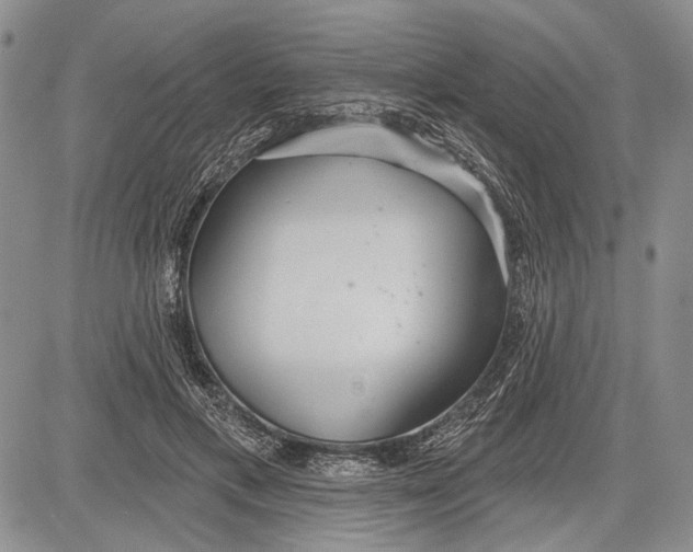 X0000081600597200702051331