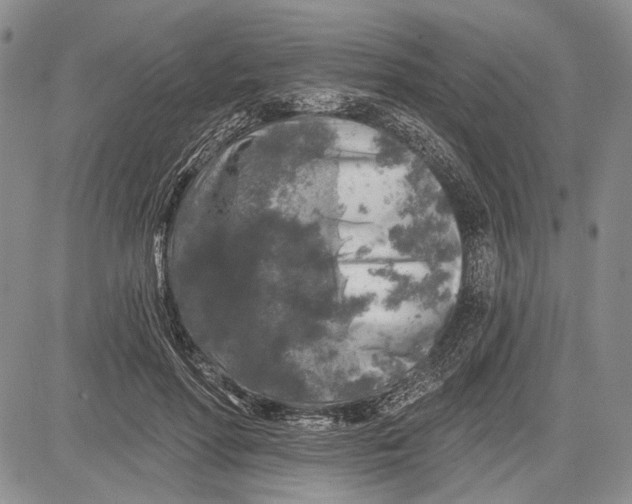 X0000081600598200702051331