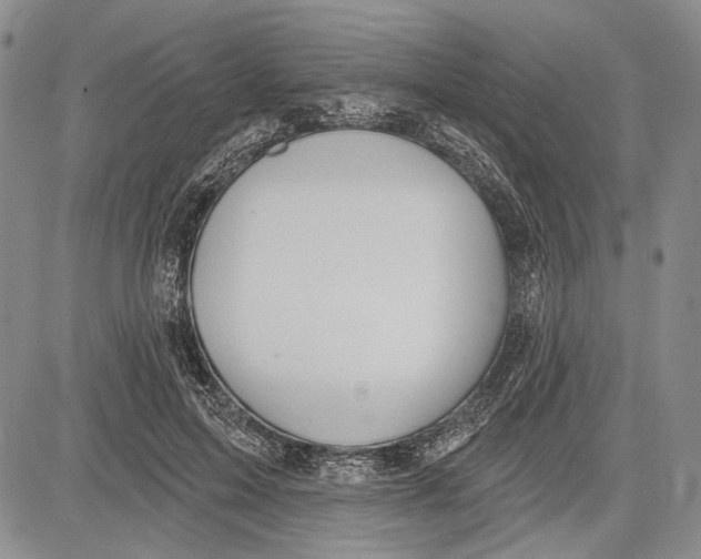 X0000081600599200702051331