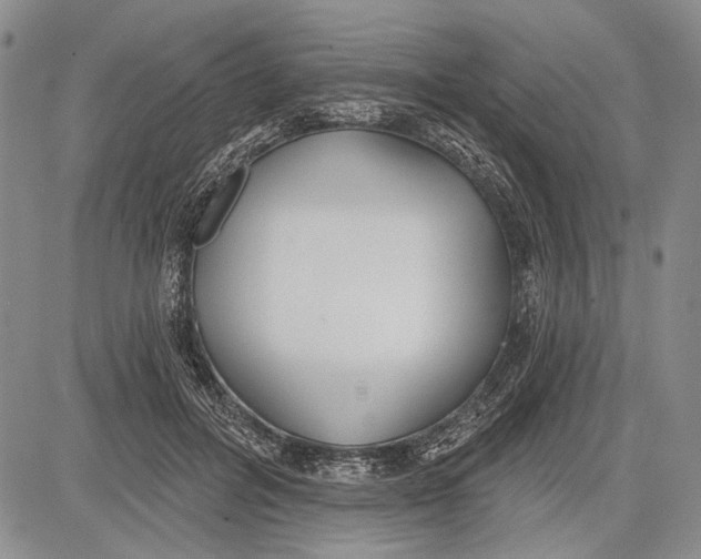 X0000081600600200702051331