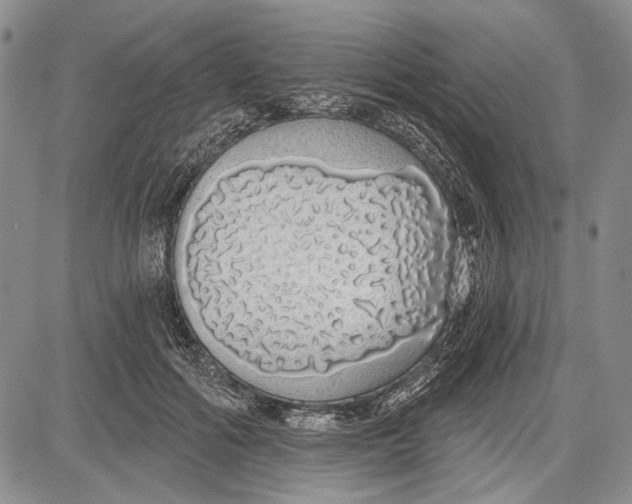 X0000081600602200702051331