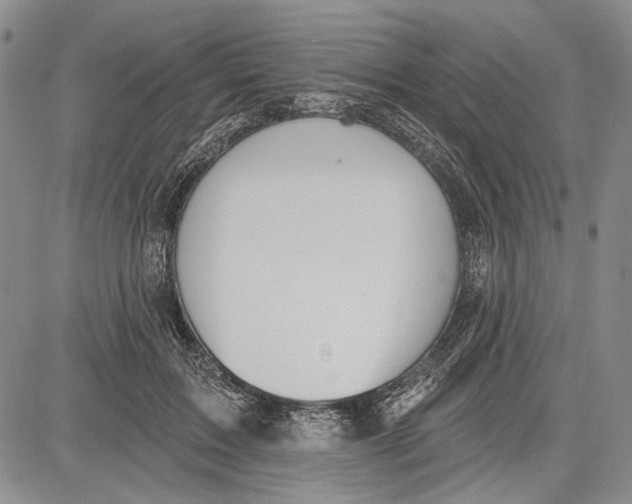 X0000081600603200702051331