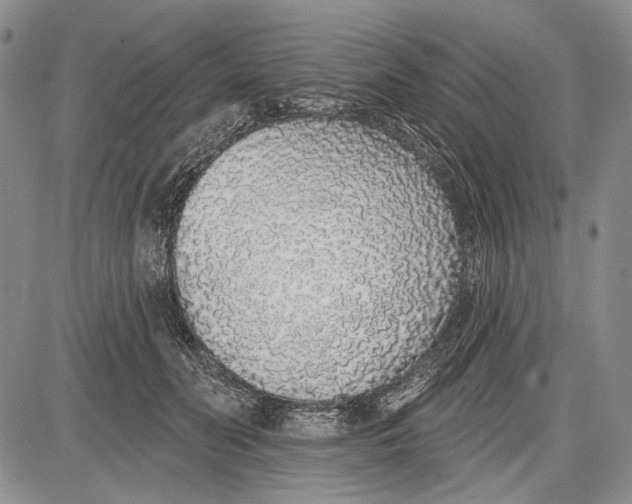 X0000081600606200702051331