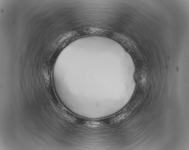 X0000081600607200702051331