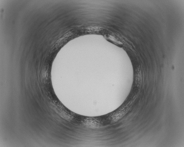 X0000081600608200702051331