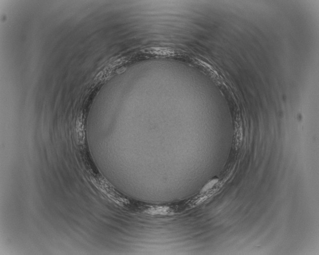 X0000081600609200702051331