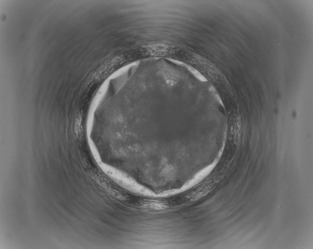 X0000081600610200702051331