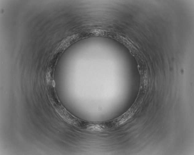 X0000081600611200702051331