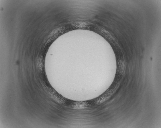 X0000081600612200702051331