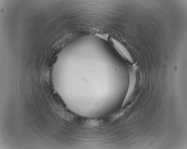 X0000081600613200702051331