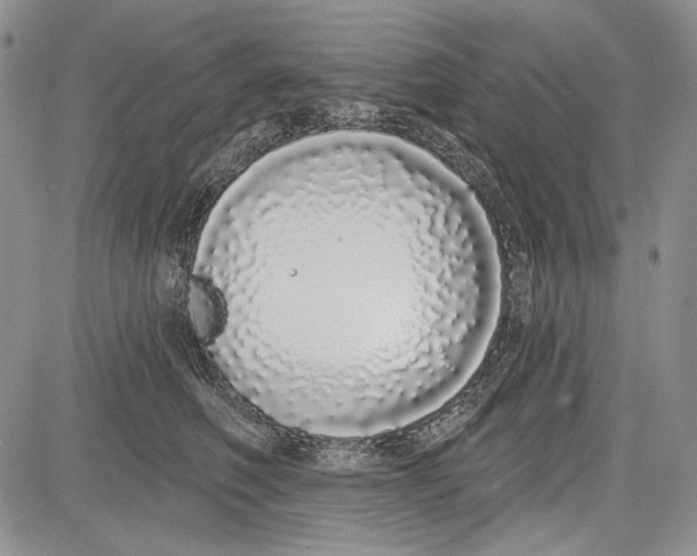 X0000081600614200702051331