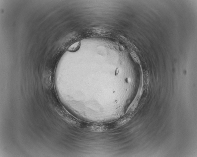 X0000081600615200702051331