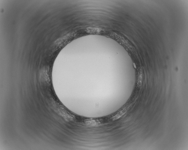 X0000081600616200702051331