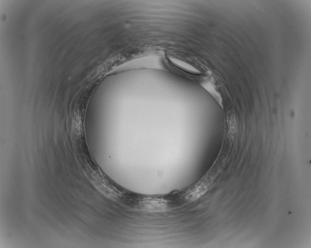 X0000081600617200702051331