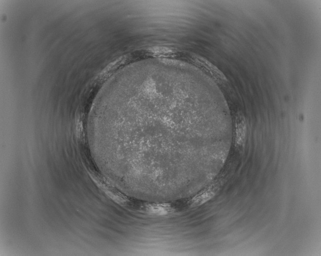 X0000081600618200702051331