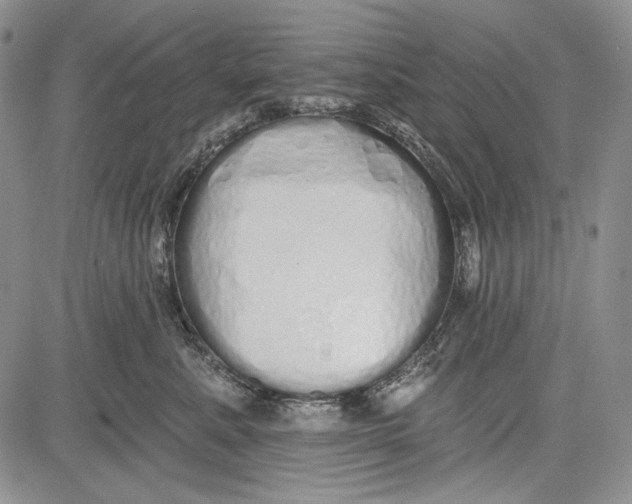 X0000081600619200702051331